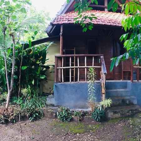 Echo Alam Nusa Lodge Ped Екстериор снимка