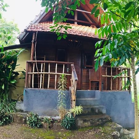 Echo Alam Nusa Lodge Ped Екстериор снимка