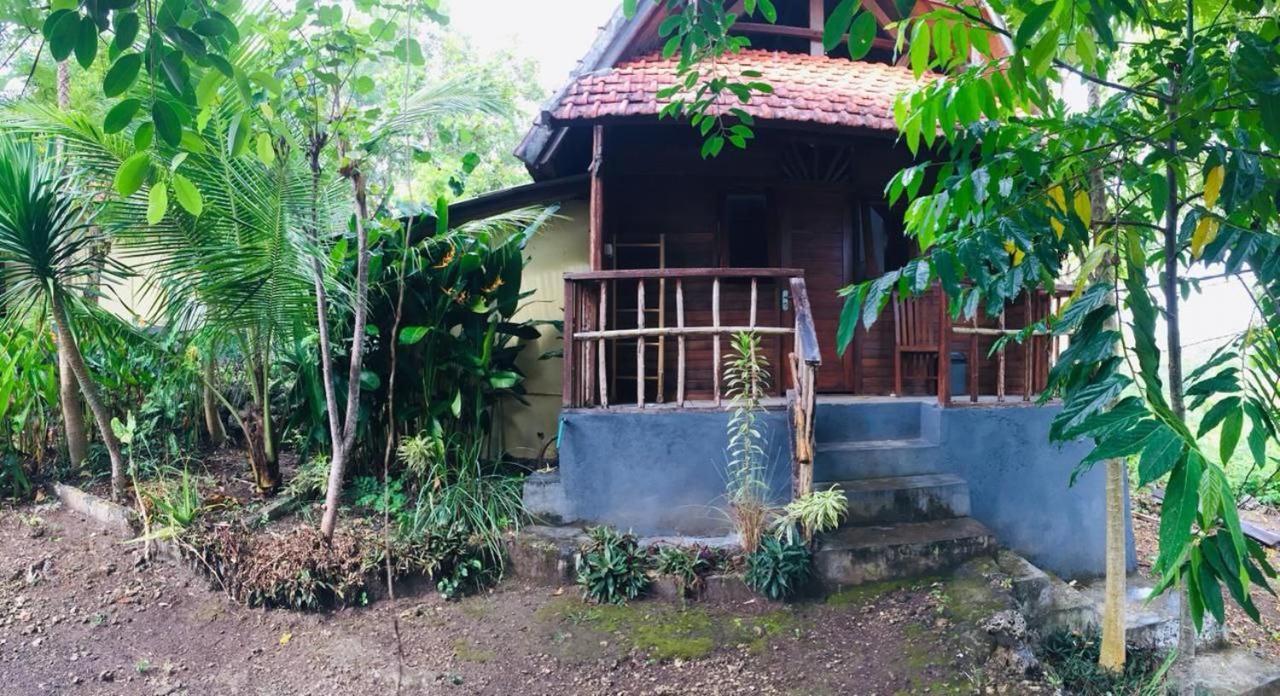 Echo Alam Nusa Lodge Ped Екстериор снимка
