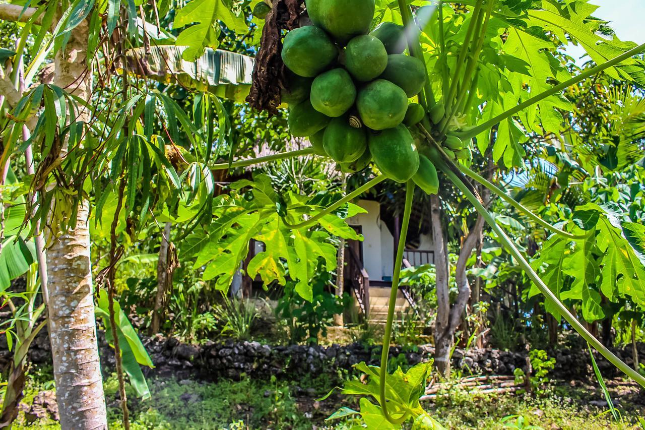 Echo Alam Nusa Lodge Ped Екстериор снимка