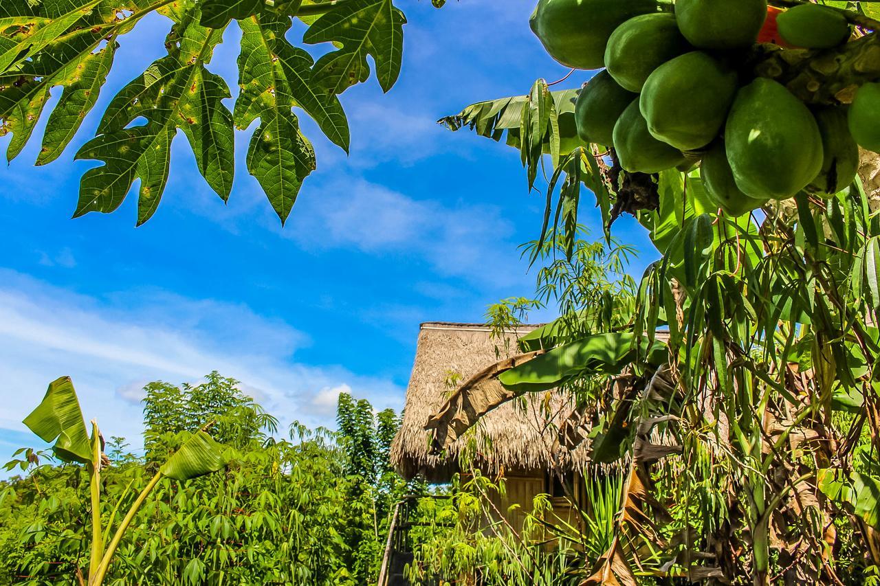 Echo Alam Nusa Lodge Ped Екстериор снимка